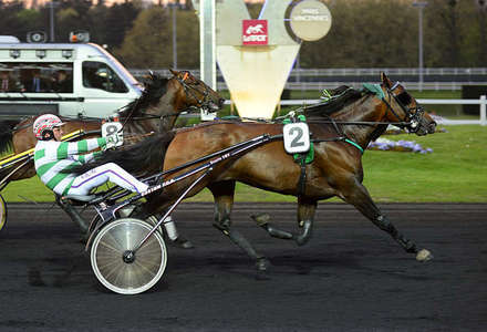 Actualités Hippiques